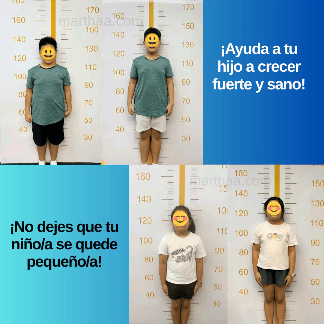 Encabezado