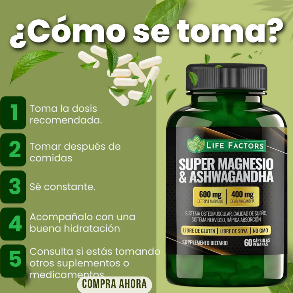 Encabezado