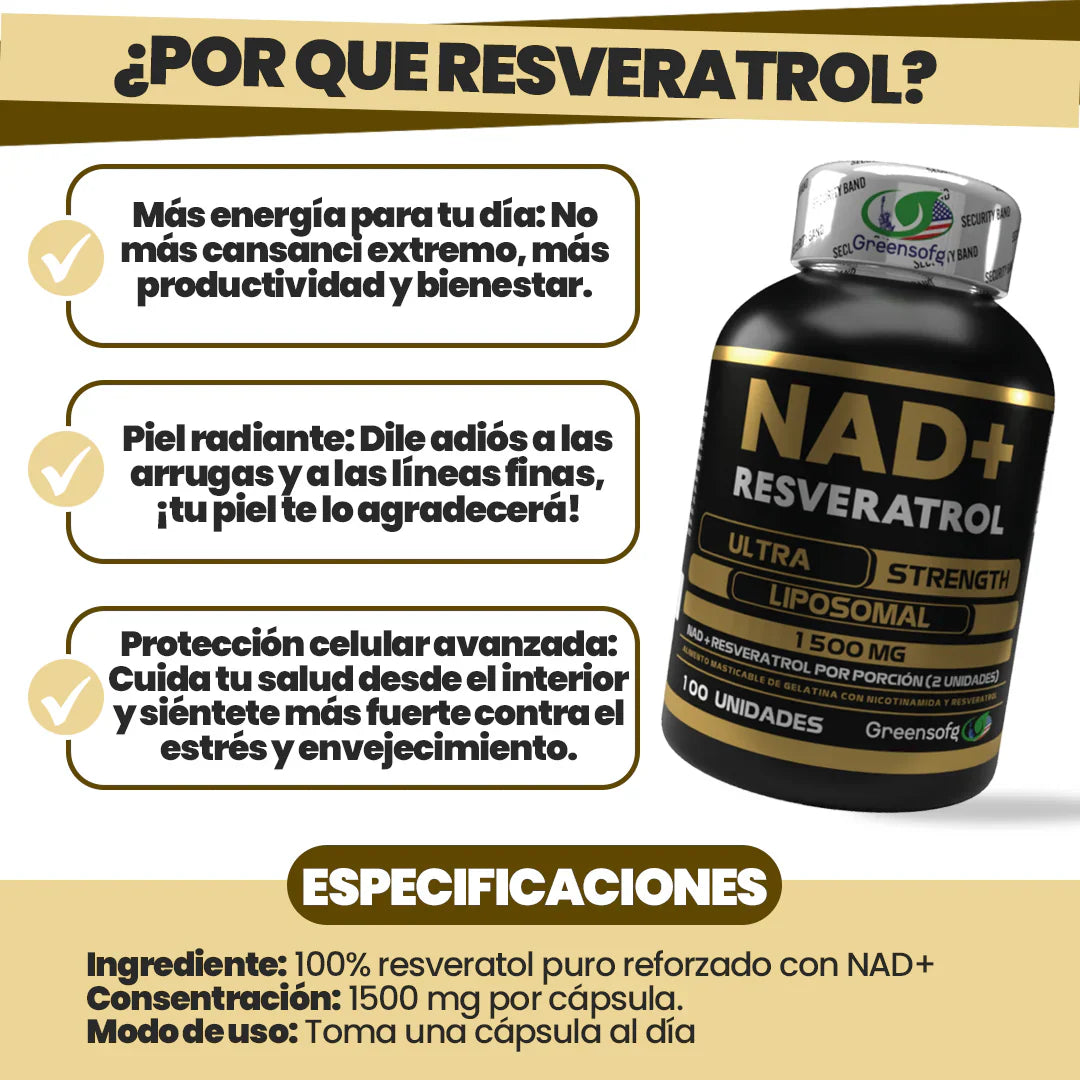 Encabezado